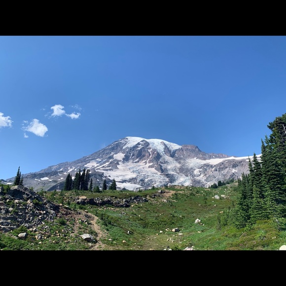 Meet your Posher, Mariah - Picture 1 of 1